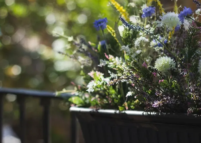 My Way Away Appartement